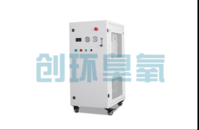 南宁工厂化养鲈必看：2026年臭氧发生器替代传统消毒的最新方案