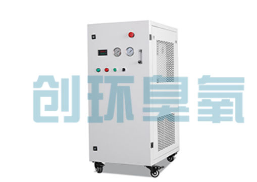 南宁石斑鱼养殖水质调控完整指南:臭氧发生器配置与操作步骤