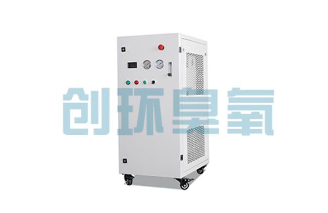 南宁比传统换水更高效?臭氧发生器在石斑鱼养殖中的水质净化原理解析