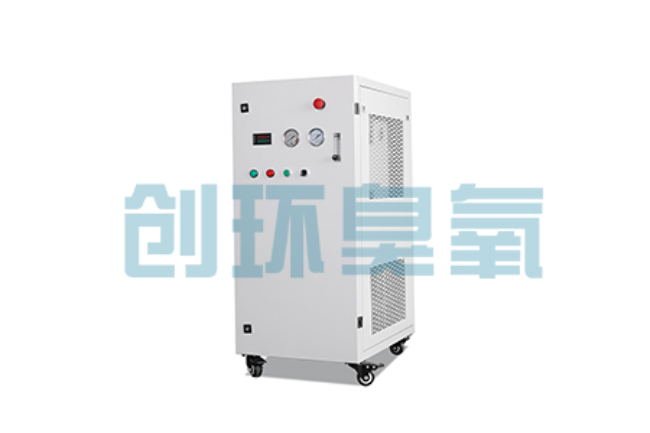 南宁比传统换水更高效？臭氧发生器在石斑鱼养殖中的水质净化原理解析